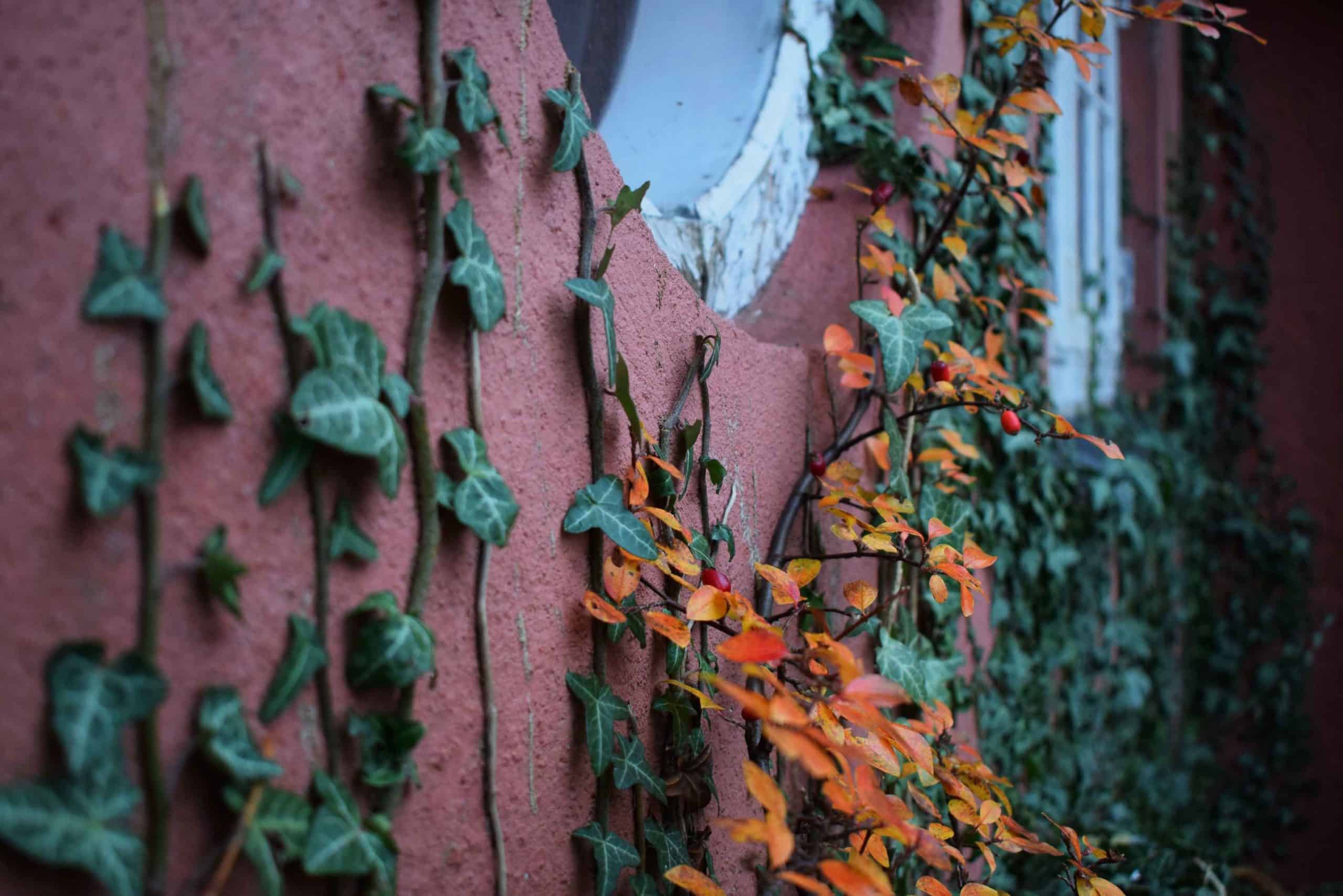 kristina tripkovic 602491 unsplash